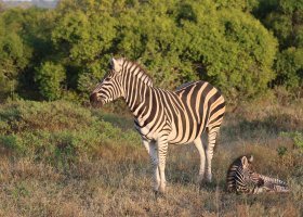 ext_famtrip-v-juhoafrickej-republike-005.jpg