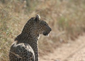 ext_famtrip-v-juhoafrickej-republike-007.jpg
