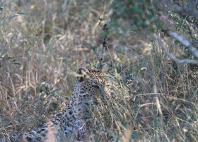 ext_famtrip-v-juhoafrickej-republike-011.jpg