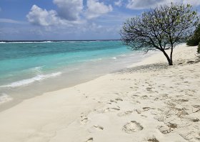 ext_ifuru-island-maldives-osobne-011.jpg