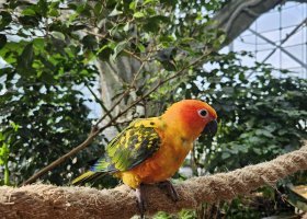 ext_safari-v-keni-011.jpg