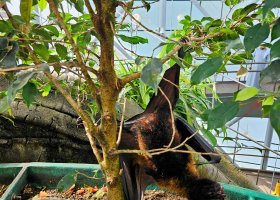 ext_safari-v-keni-012.jpg