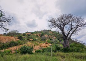 ext_safari-v-keni-022.jpg