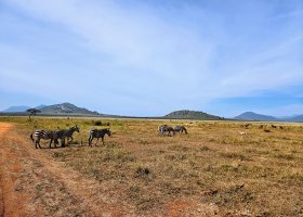 ext_safari-v-keni-033.jpg