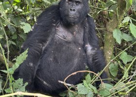 ext_uganda-kena-a-tanzanie-106.jpg