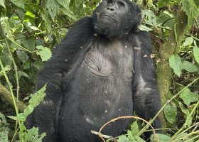 ext_uganda-kena-a-tanzanie-107.jpg