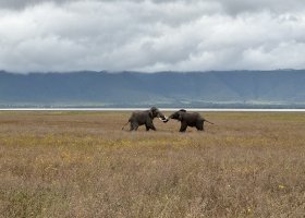 ext_uganda-kena-a-tanzanie-201.jpg