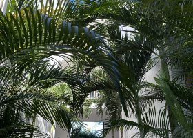 ext_yoga-retreat-na-mauriciu-2025-023.jpg