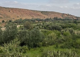 ext_za-poznanim-maroka-011.jpeg