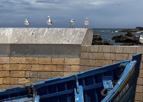 ext_za-poznanim-maroka-020.jpeg
