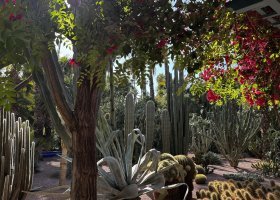 ext_za-poznanim-maroka-032.jpeg