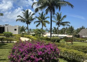ext_zanzibar-2025-010.jpg