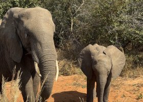 ext_zimbabwe-a-botswana-2026-016.jpg