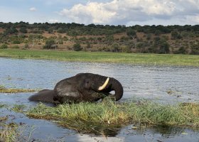 ext_zimbabwe-a-botswana-2026-017.jpg