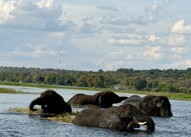 ext_zimbabwe-a-botswana-2026-018.jpg