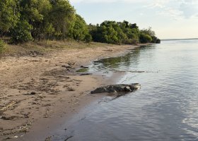 ext_zimbabwe-a-botswana-2026-019.jpg