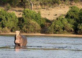 ext_zimbabwe-a-botswana-2026-021.jpg
