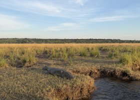 ext_zimbabwe-a-botswana-2026-022.jpg