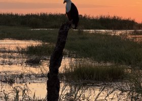 ext_zimbabwe-a-botswana-2026-023.jpg