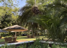 ext_zimbabwe-a-botswana-2026-039.jpg