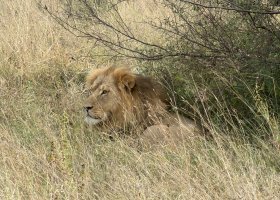 ext_zimbabwe-a-botswana-2026-062.jpg