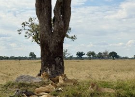 ext_zimbabwe-a-botswana-2026-064.jpg