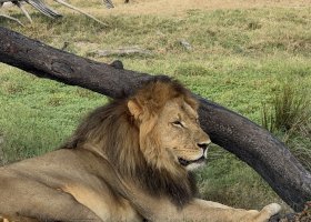 ext_zimbabwe-a-botswana-2026-066.jpg