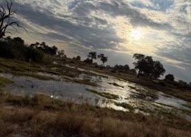 ext_zimbabwe-a-botswana-2026-068.jpg