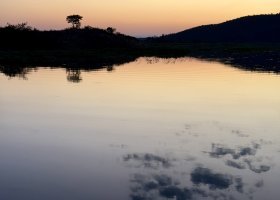ext_zimbabwe-a-botswana-2026-073.jpg