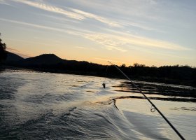 ext_zimbabwe-a-botswana-2026-079.jpg