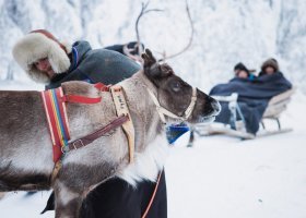finsko-076.jpg
