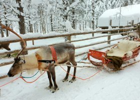 finsko-hotel-santa-claus-holiday-village-025.jpg