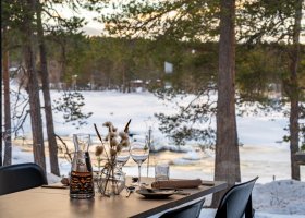 finsko-hotel-wilderness-hotel-juutua-059.jpg