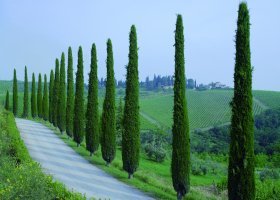 italie-025.jpg