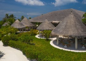 maledivy-hotel-cocoon-maldives-032.jpg