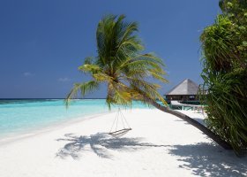 maledivy-hotel-vilamendhoo-island-007.jpg