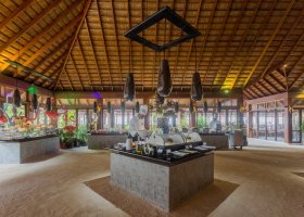maledivy-hotel-vilamendhoo-island-041.jpg