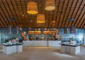 maledivy-hotel-vilamendhoo-island-043.jpg