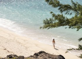 rodrigues-048.jpg