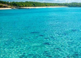 rodrigues-066.jpg