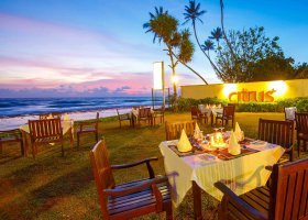 sri-lanka-hotel-citrus-hikkaduwa-002.jpg
