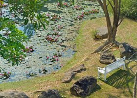 thajsko-hotel-dusit-thani-krabi-038.jpg