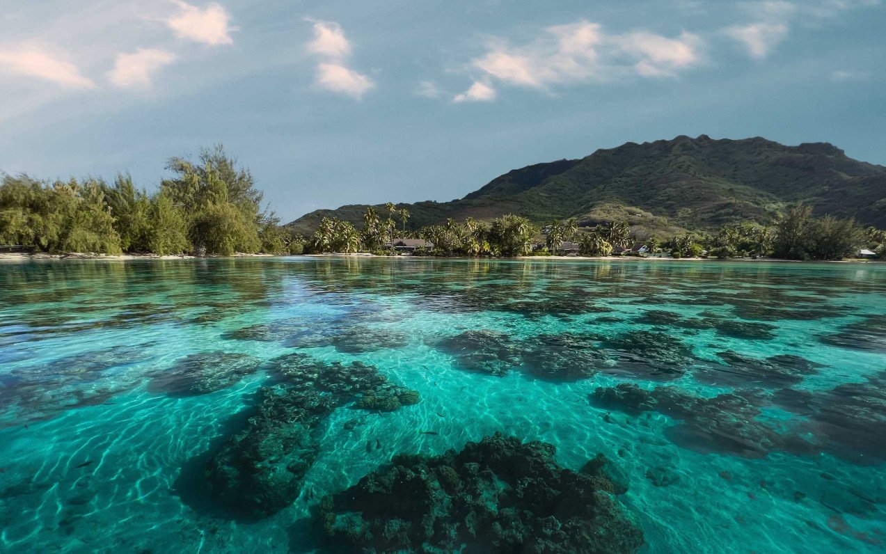 Fare Tiaia Te Motu, Moorea