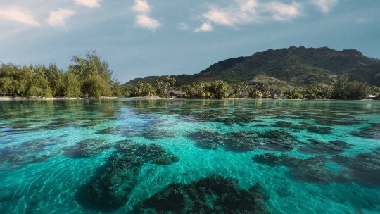 Fare Tiaia Te Motu, Moorea **