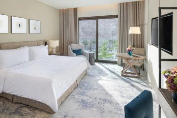 Deluxe Accessible Room Mountain View King (38 m²)