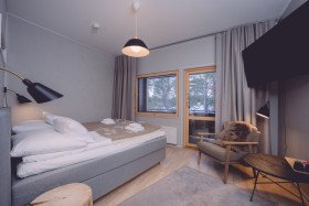 Superior Sauna Room