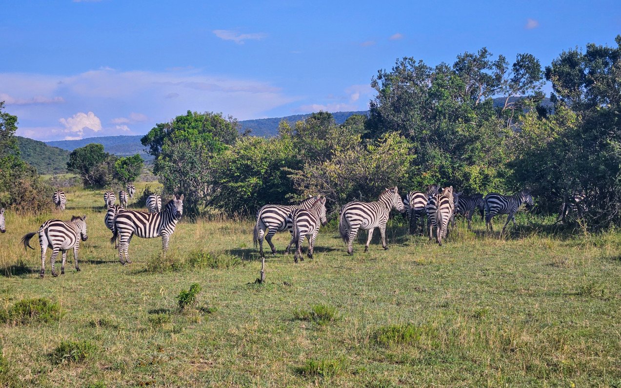 Safari v Keni