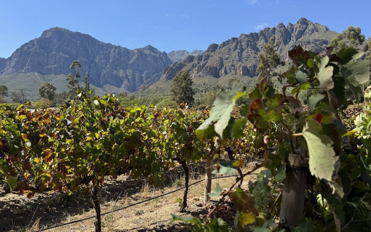 Jihoafrická republika - Kapské Město & Safari Aquila Collection & vinice